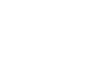 SOLUTIONS BIODIV - LOGO blanc